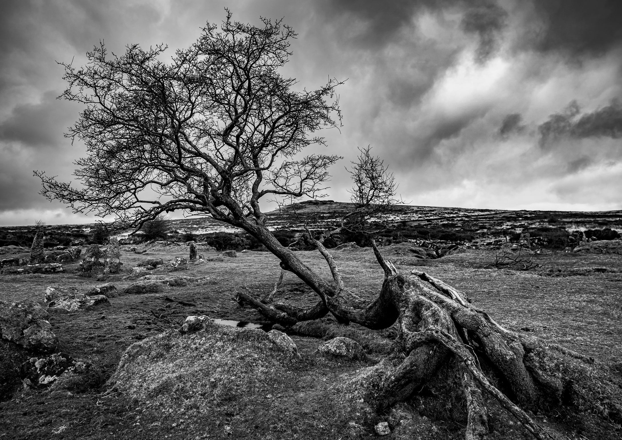 Dartmoor