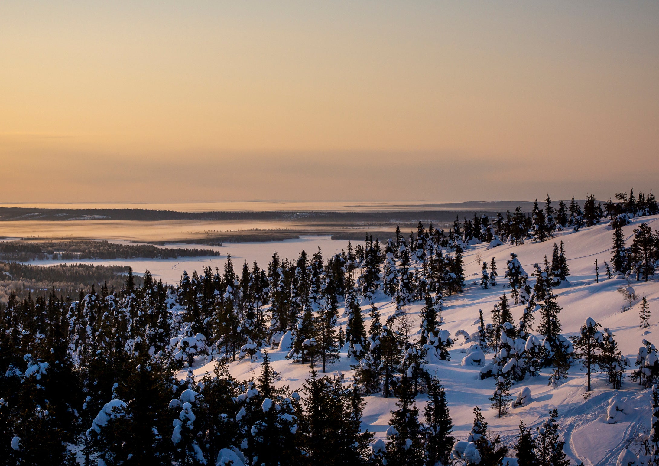 Finnish Morning _002
