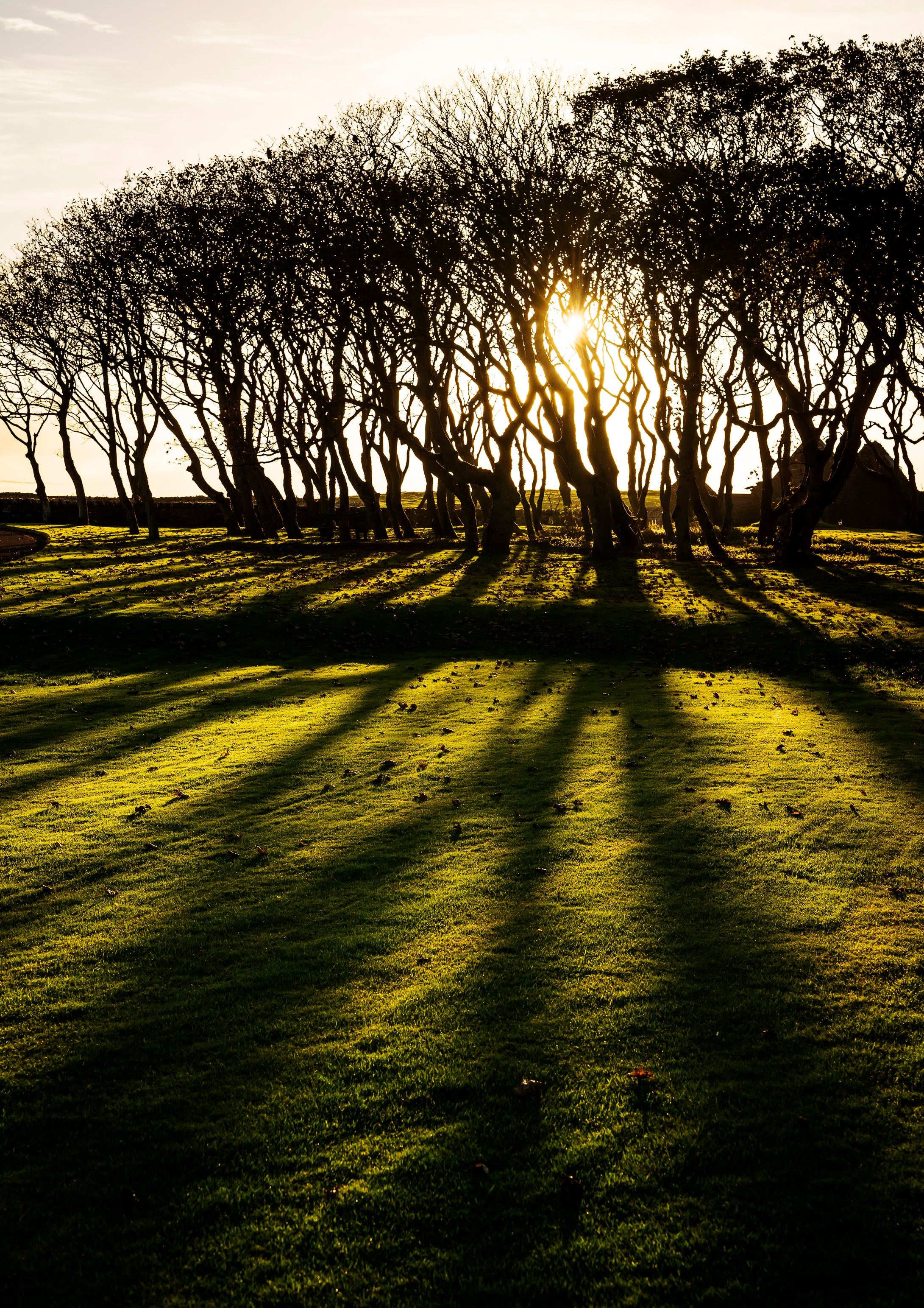 Scottish Highlands_004