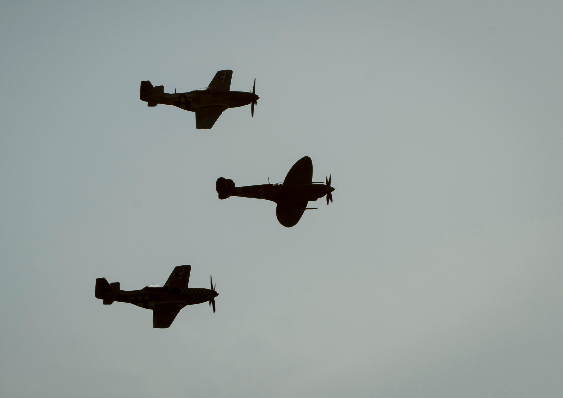 Spitfire Mustangs