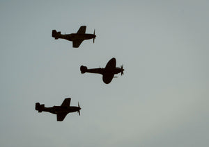 Spitfire Mustangs